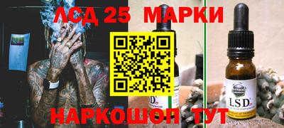 дмт Славгород