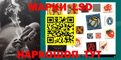 шишки Северобайкальск