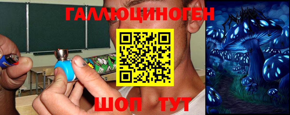 Галлюциногенные грибы Psilocybe Новочебоксарск